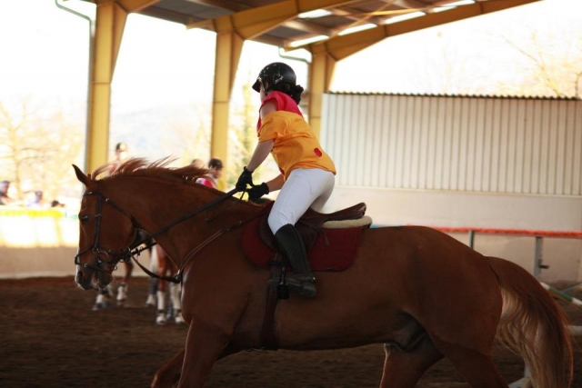  Girl on brown horse trotting 